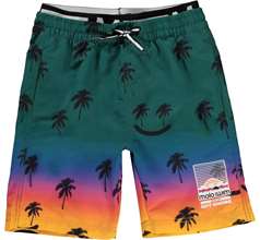Neal Swimwear